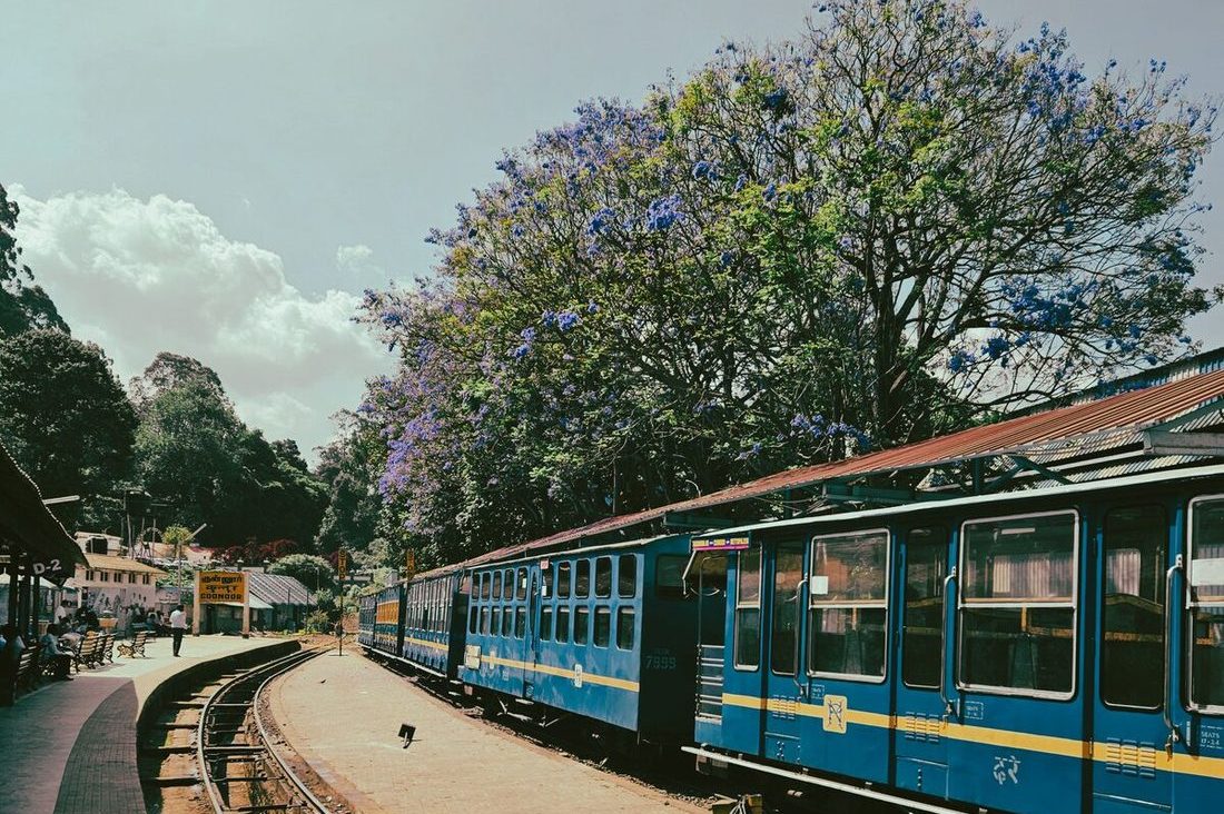 The narrow-gauge Nilgiri Mountain Railway train standing at Coonoor station under jacaranda trees